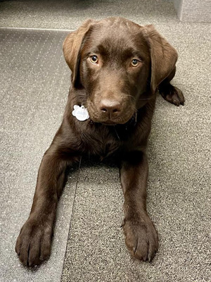 Associates in Dentistry | TMJ Disorders, Aesthetic Tooth Colored Fillings and Pediatric Dentistry